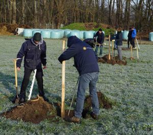 Streekkring boomgaard planten